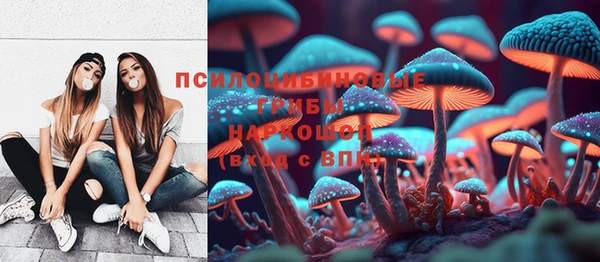 соль курить ск Кукмор