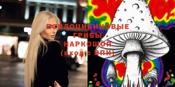 молекула духа Ступино