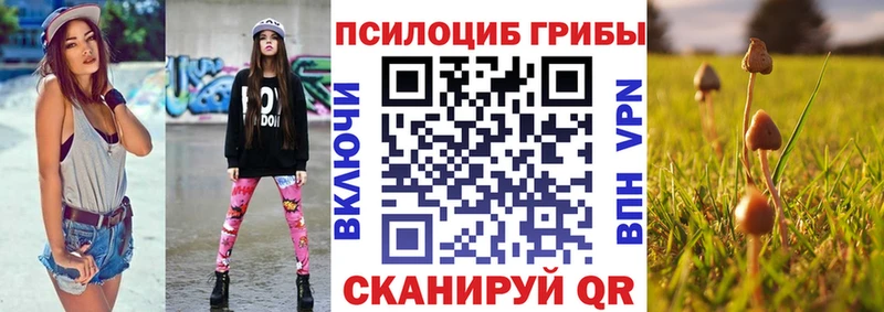купить наркотики цена  Суздаль  Галлюциногенные грибы Psilocybe 