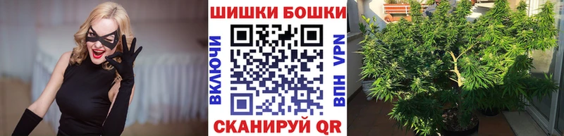 Конопля планчик  Суздаль 